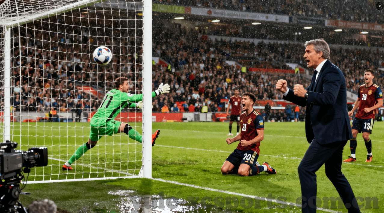 世界杯买球app据fc3典tv-世界杯买球app据fc3典tv，一场足球盛宴的线上狂欢